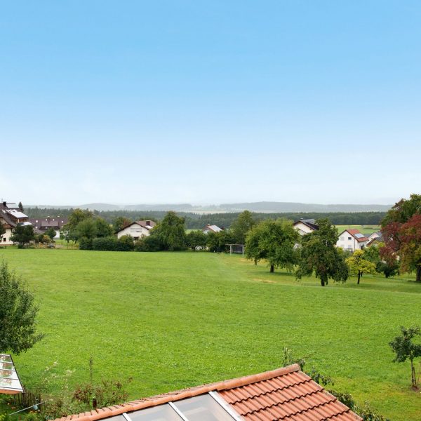 Baarblick 16